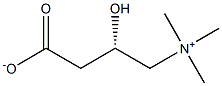 CAS:541-15-1 L-Carnitine；3-Hydroxy-4-(trimethylammonio) butanoate; Vitamin BT